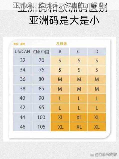 亚洲码、欧洲码，你真的了解吗？