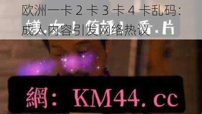 欧洲一卡 2 卡 3 卡 4 卡乱码：成人内容引发网络热议