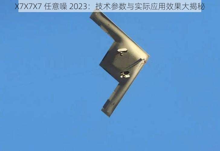 X7X7X7 任意噪 2023：技术参数与实际应用效果大揭秘