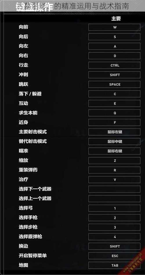 古墓丽影：的精准运用与战术指南