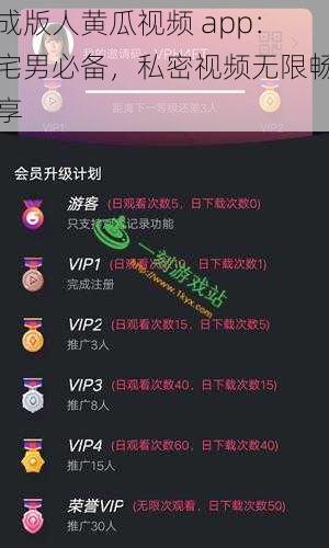成版人黄瓜视频 app：宅男必备，私密视频无限畅享