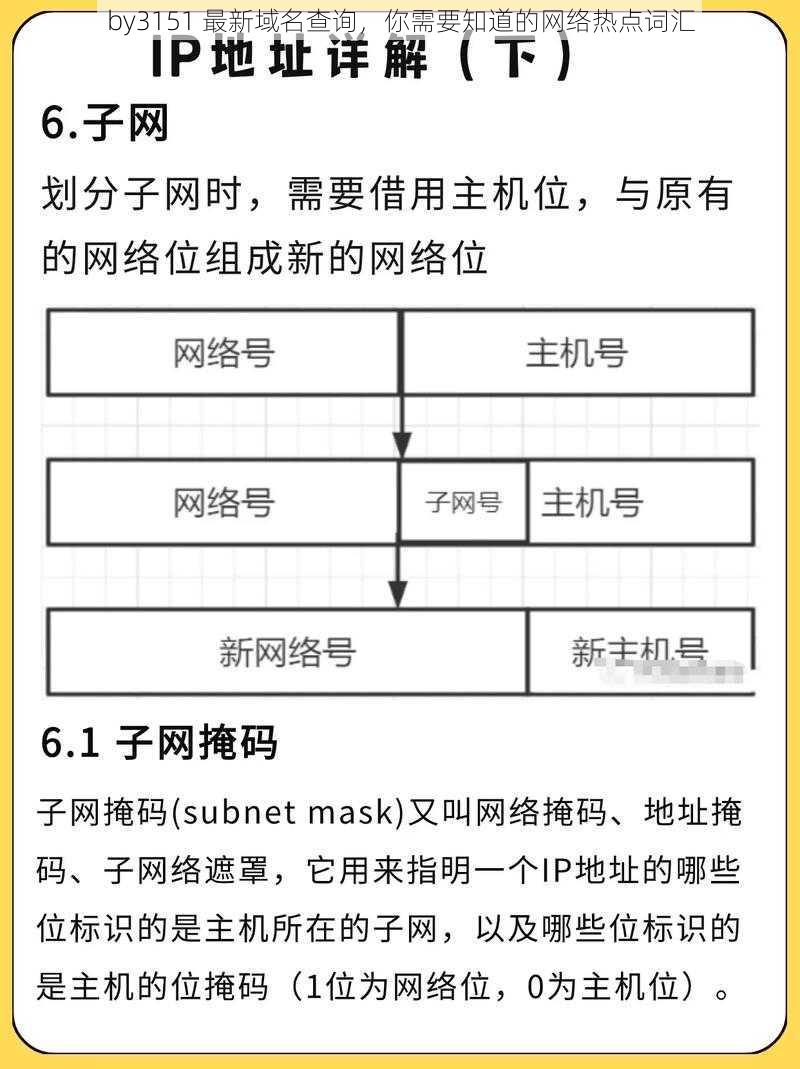 by3151 最新域名查询，你需要知道的网络热点词汇