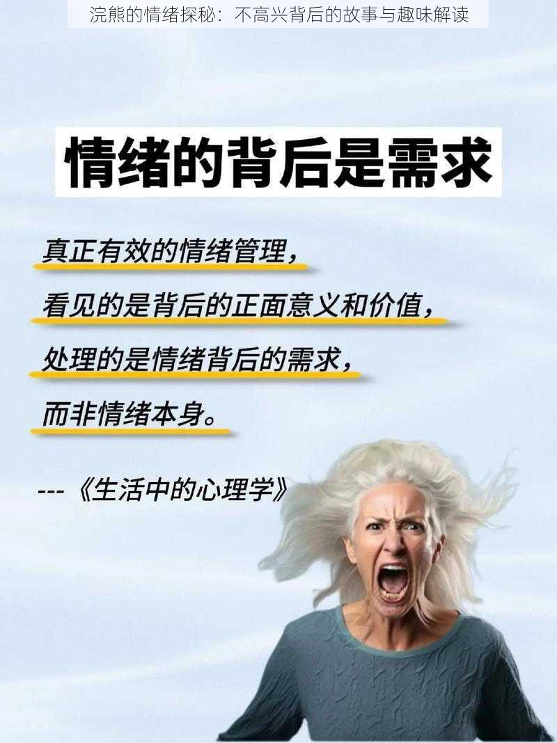 浣熊的情绪探秘：不高兴背后的故事与趣味解读