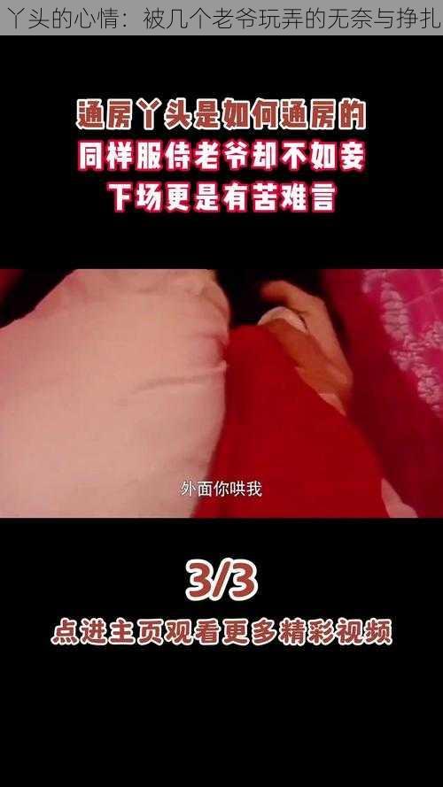 丫头的心情：被几个老爷玩弄的无奈与挣扎