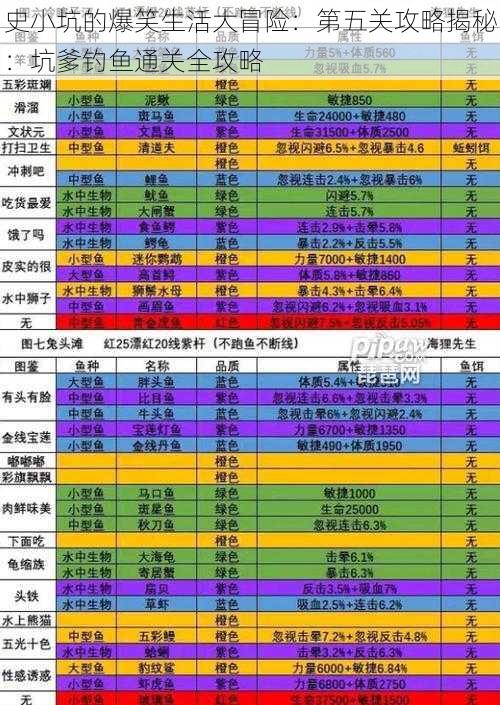 史小坑的爆笑生活大冒险：第五关攻略揭秘：坑爹钓鱼通关全攻略