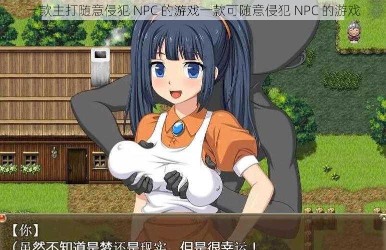 一款主打随意侵犯 NPC 的游戏一款可随意侵犯 NPC 的游戏