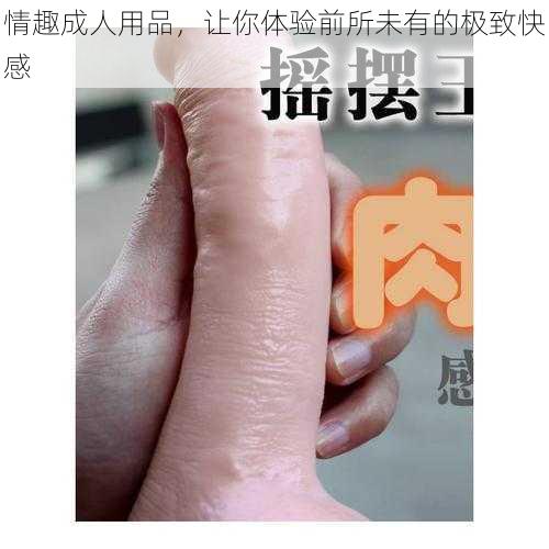 情趣成人用品，让你体验前所未有的极致快感