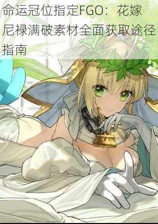 命运冠位指定FGO：花嫁尼禄满破素材全面获取途径指南