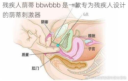 残疾人荫蒂 bbwbbb 是一款专为残疾人设计的荫蒂刺激器