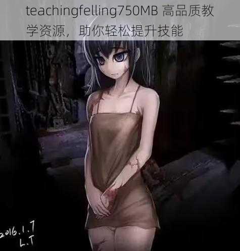 teachingfelling750MB 高品质教学资源，助你轻松提升技能