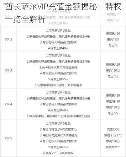 酋长萨尔VIP充值金额揭秘：特权一览全解析