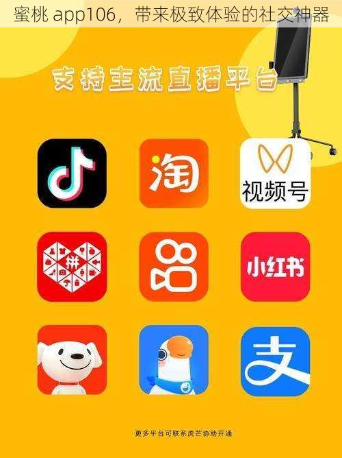 蜜桃 app106，带来极致体验的社交神器