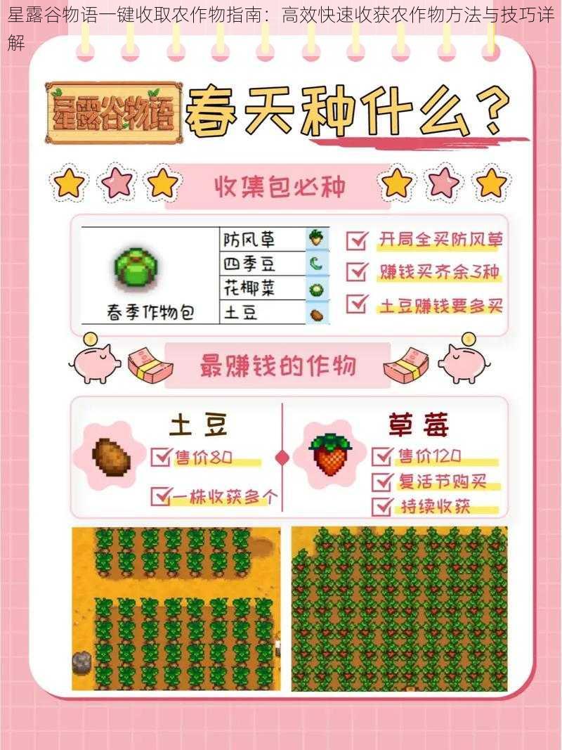 星露谷物语一键收取农作物指南：高效快速收获农作物方法与技巧详解