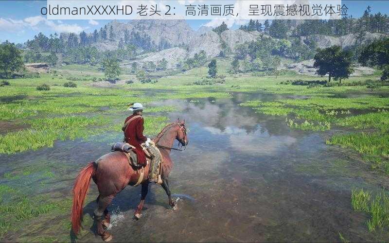 oldmanXXXXHD 老头 2：高清画质，呈现震撼视觉体验