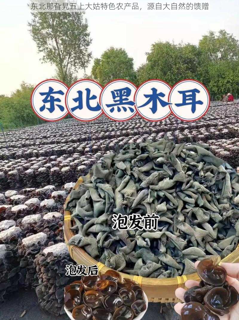 东北那旮旯五上大姑特色农产品，源自大自然的馈赠