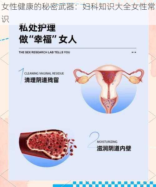 女性健康的秘密武器：妇科知识大全女性常识