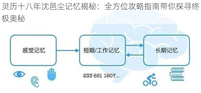 灵历十八年沈邑尘记忆揭秘：全方位攻略指南带你探寻终极奥秘