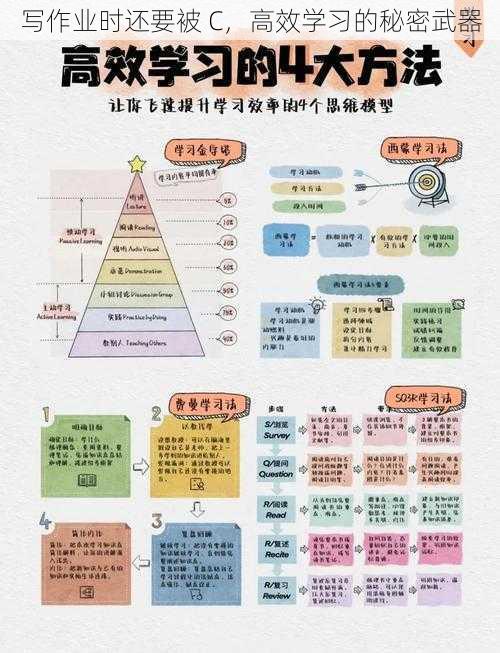 写作业时还要被 C，高效学习的秘密武器