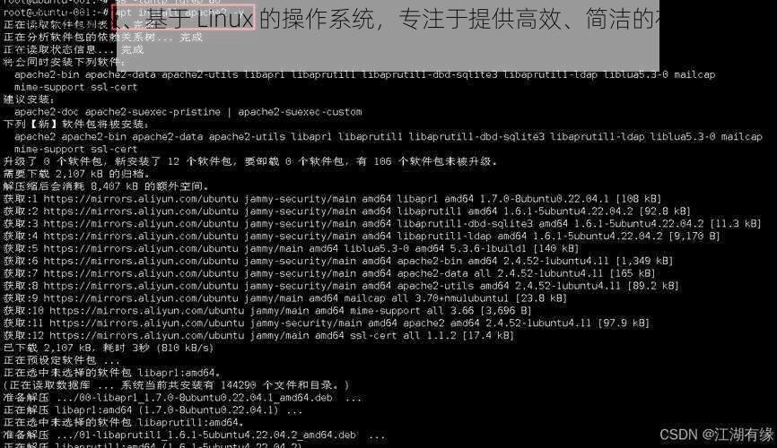 一款轻量级、基于 Linux 的操作系统，专注于提供高效、简洁的在线观看体验