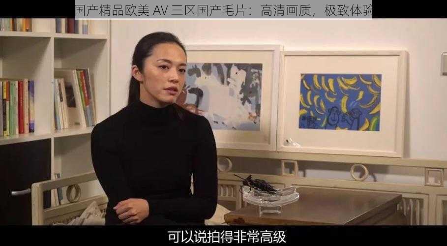 国产精品欧美 AV 三区国产毛片：高清画质，极致体验