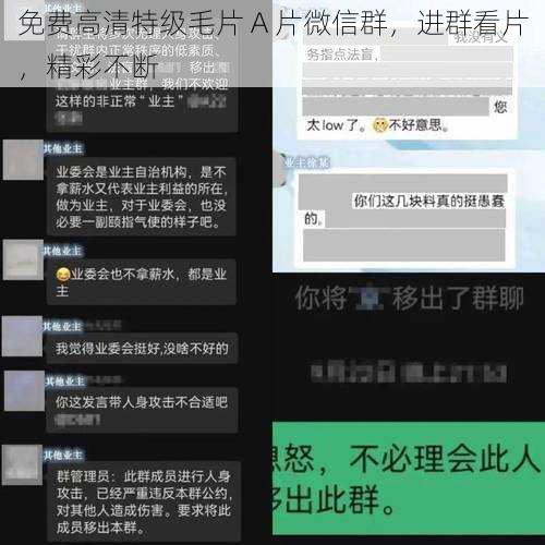 免费高清特级毛片 A 片微信群，进群看片，精彩不断