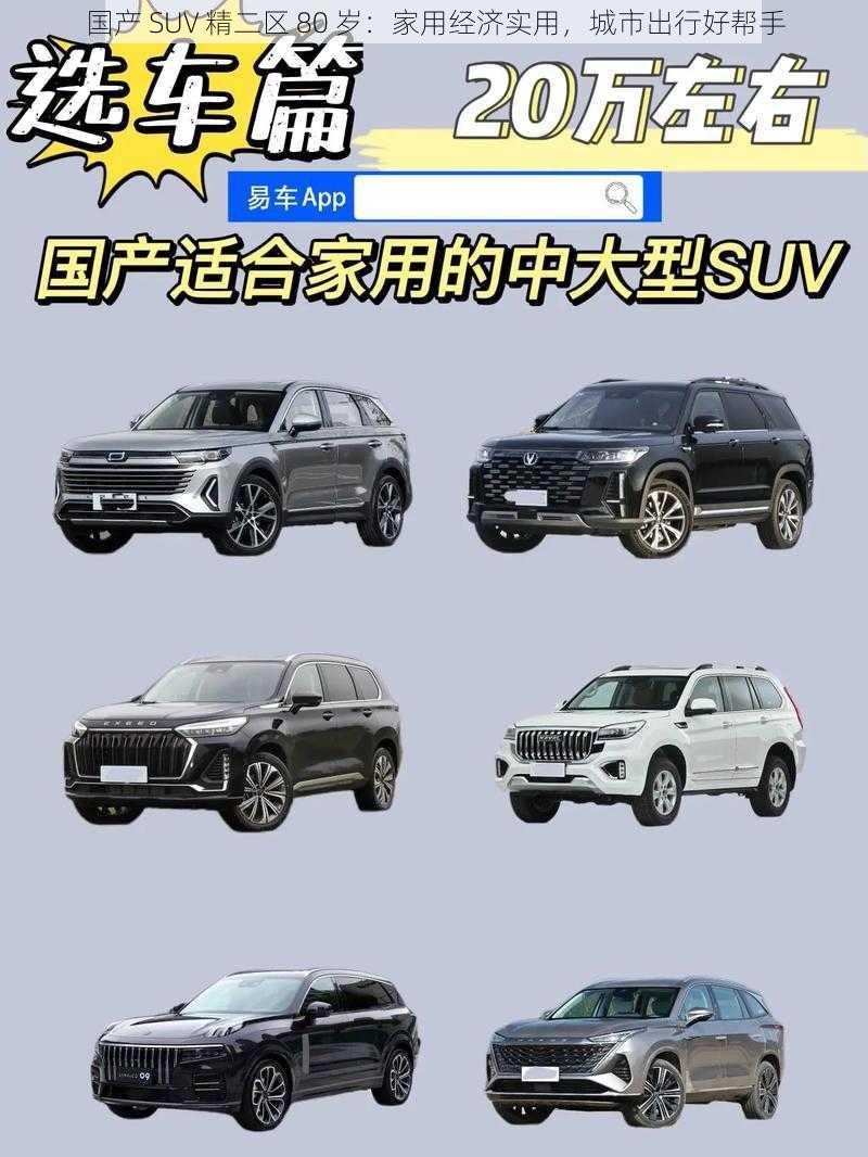 国产 SUV 精二区 80 岁：家用经济实用，城市出行好帮手