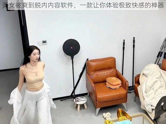 美女被爽到脱内内容软件，一款让你体验极致快感的神器