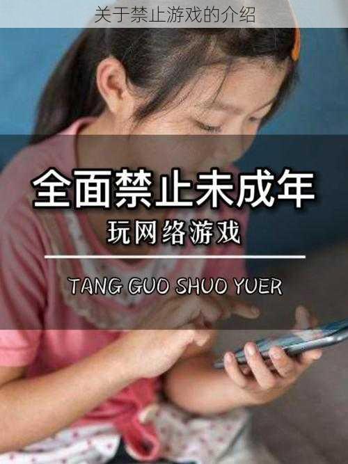 关于禁止游戏的介绍