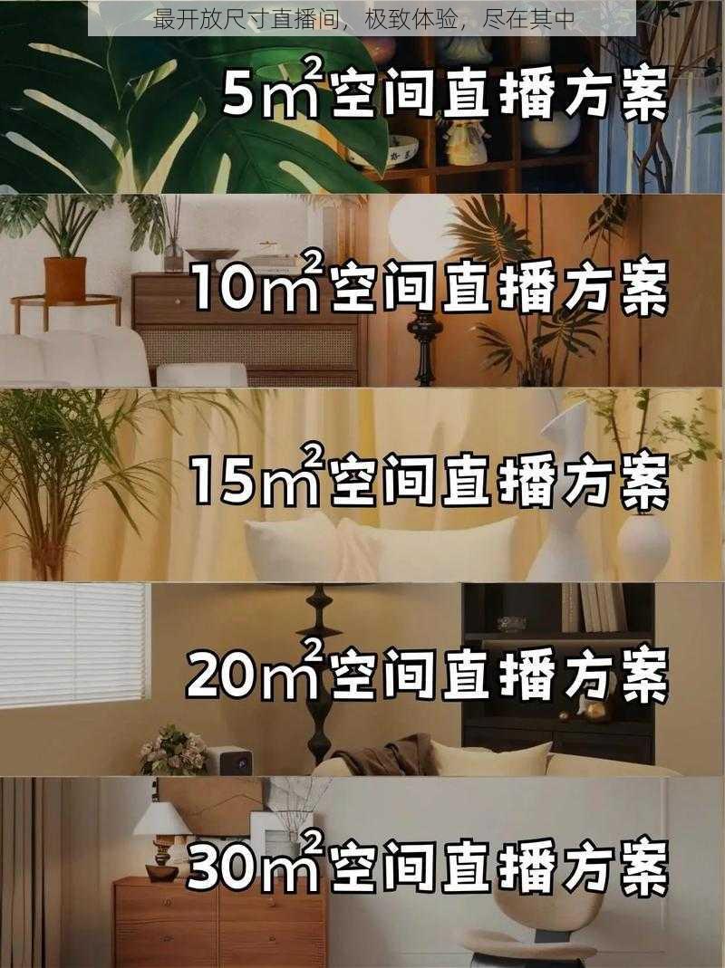 最开放尺寸直播间，极致体验，尽在其中