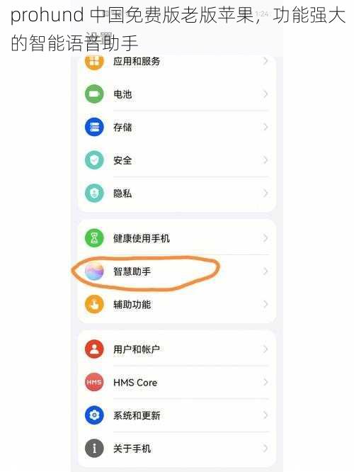 prohund 中国免费版老版苹果，功能强大的智能语音助手