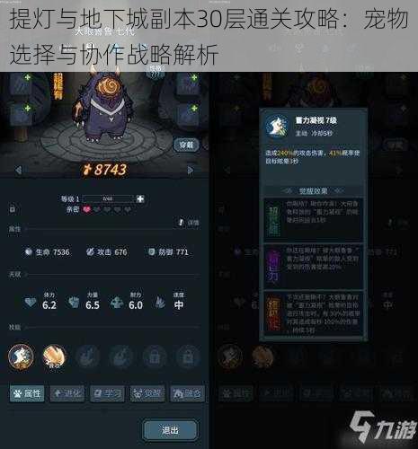 提灯与地下城副本30层通关攻略：宠物选择与协作战略解析