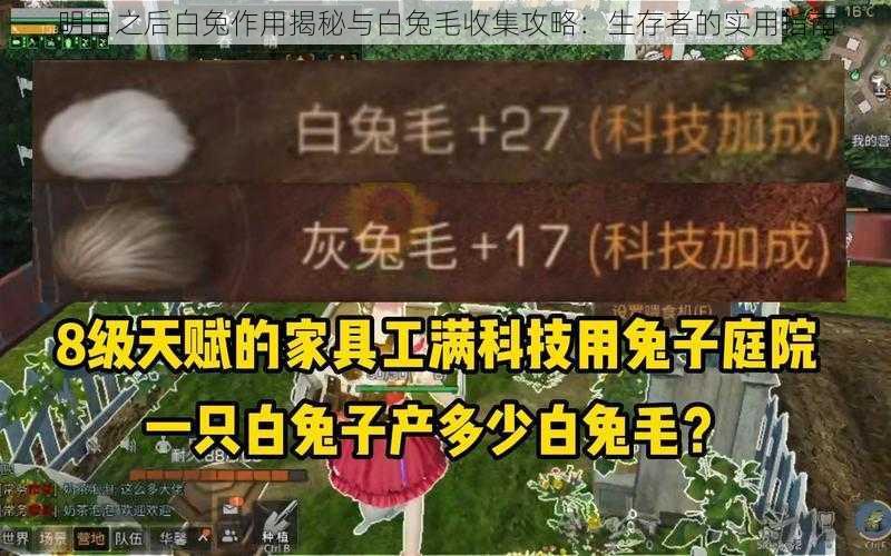 明日之后白兔作用揭秘与白兔毛收集攻略：生存者的实用指南