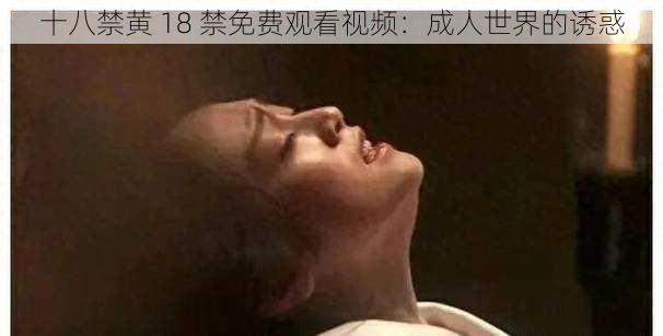 十八禁黄 18 禁免费观看视频：成人世界的诱惑