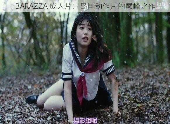 BARAZZA 成人片：岛国动作片的巅峰之作