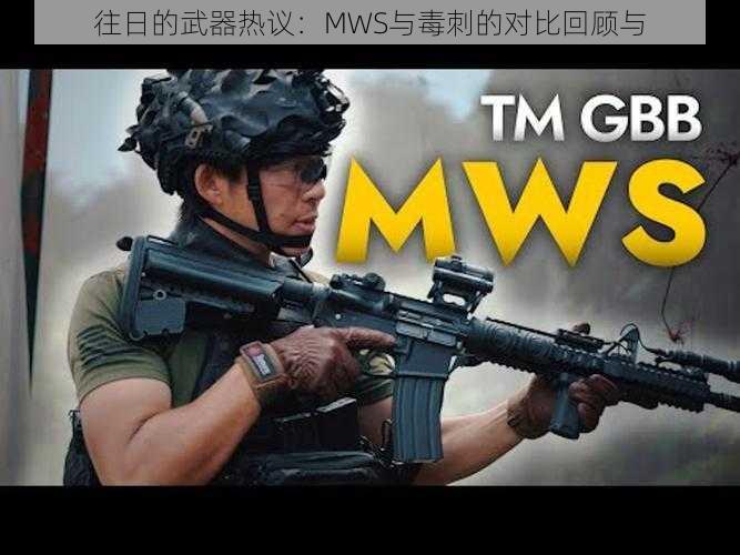 往日的武器热议：MWS与毒刺的对比回顾与