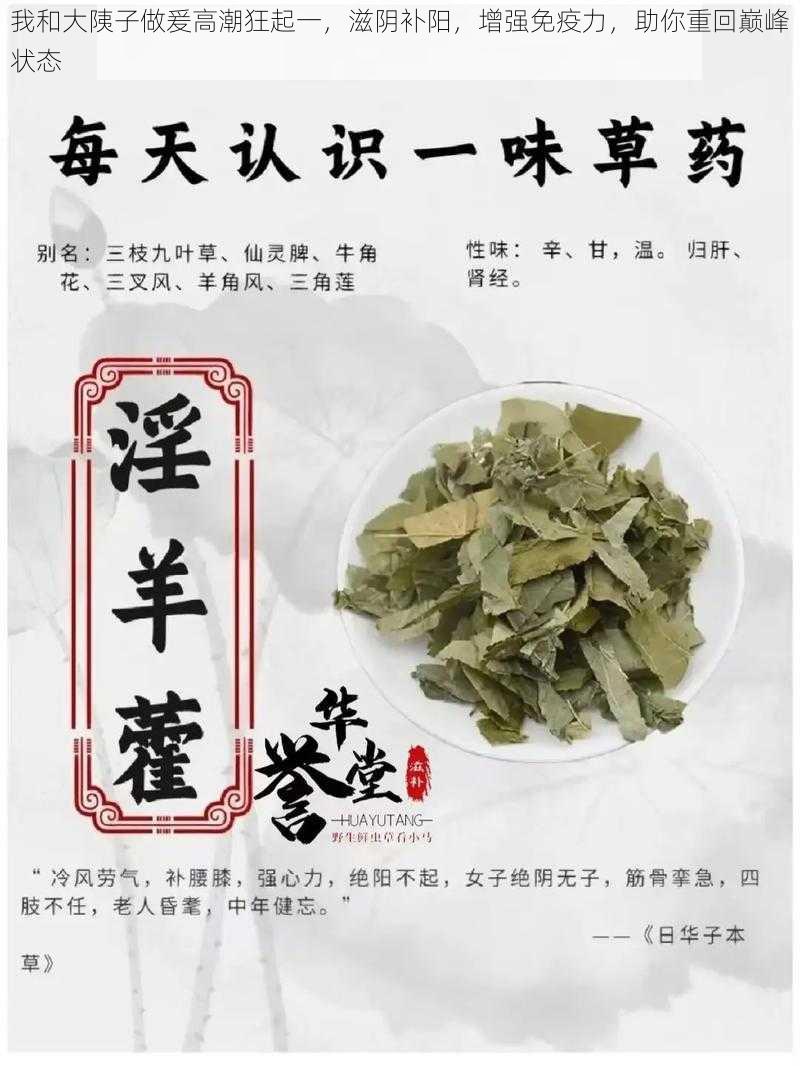 我和大䧅子做爰高潮狂起一，滋阴补阳，增强免疫力，助你重回巅峰状态