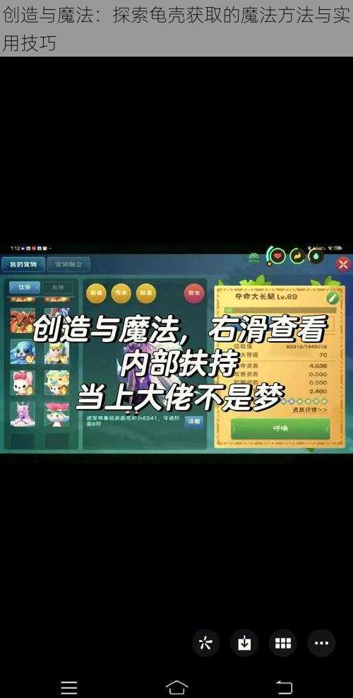 创造与魔法：探索龟壳获取的魔法方法与实用技巧