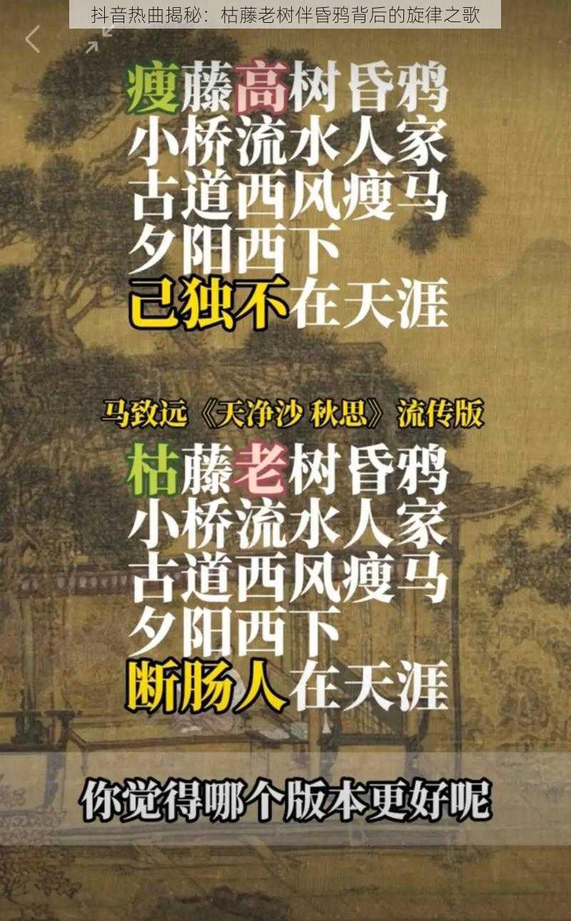 抖音热曲揭秘：枯藤老树伴昏鸦背后的旋律之歌