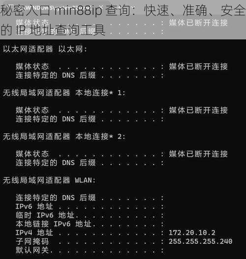 秘密入口 min88ip 查询：快速、准确、安全的 IP 地址查询工具