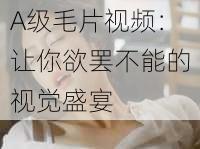 A级毛片视频：让你欲罢不能的视觉盛宴