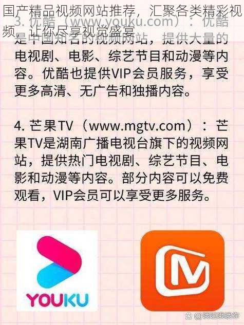 国产精品视频网站推荐，汇聚各类精彩视频，让你尽享视觉盛宴