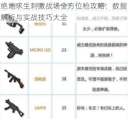 绝地求生刺激战场全方位枪攻略：数据解析与实战技巧大全