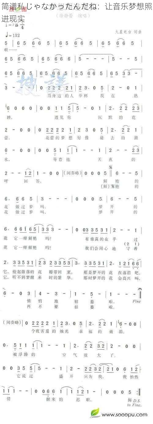 简谱私じゃなかったんだね：让音乐梦想照进现实