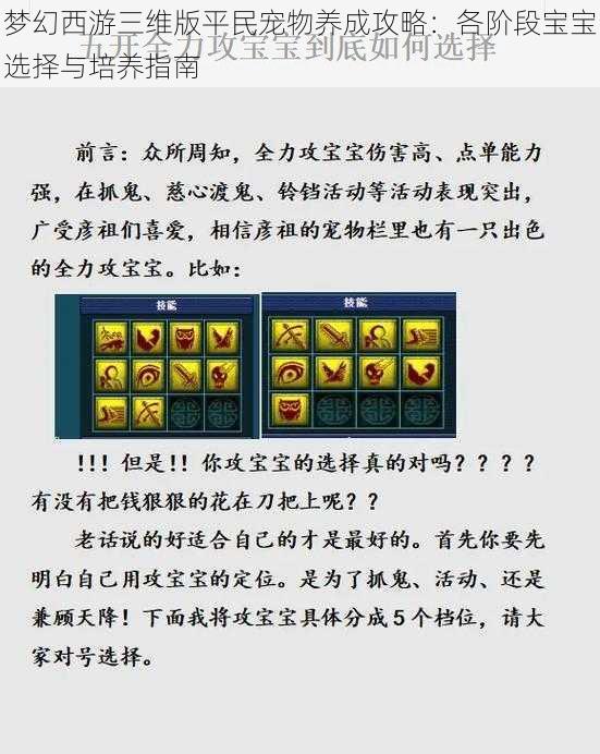 梦幻西游三维版平民宠物养成攻略：各阶段宝宝选择与培养指南