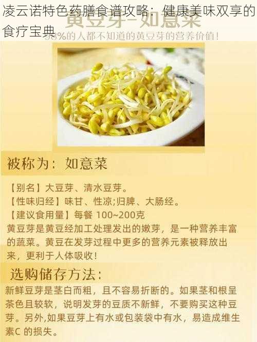 凌云诺特色药膳食谱攻略：健康美味双享的食疗宝典