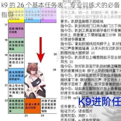 k9 的 26 个基本任务表：专业训练犬的必备指导