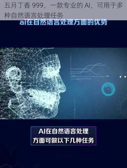 五月丁香 999，一款专业的 AI，可用于多种自然语言处理任务