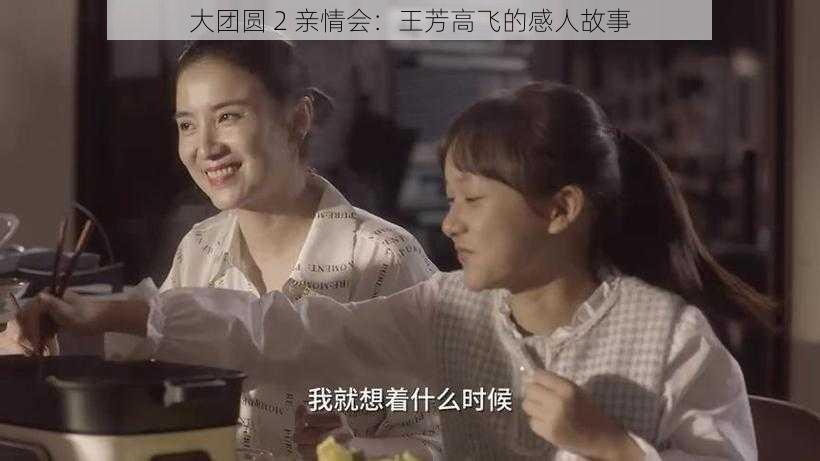 大团圆 2 亲情会：王芳高飞的感人故事