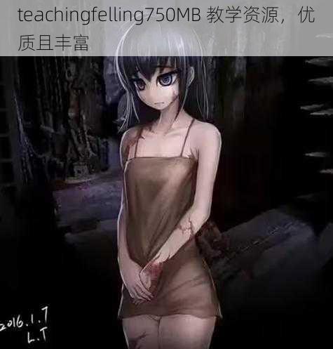 teachingfelling750MB 教学资源，优质且丰富