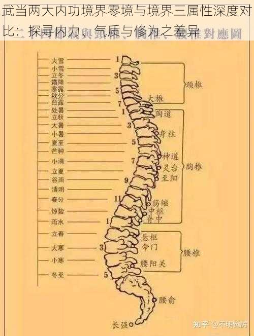 武当两大内功境界零境与境界三属性深度对比：探寻内力、气质与修为之差异